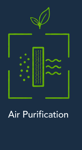 Air Purification