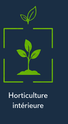 Horticulture intérieure