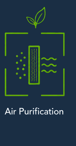 Air Purification