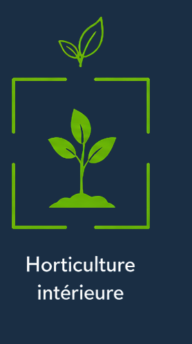 Horticulture intérieure